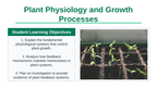 Plant Physiology & Growth Processes Slide Show Presentation sample page