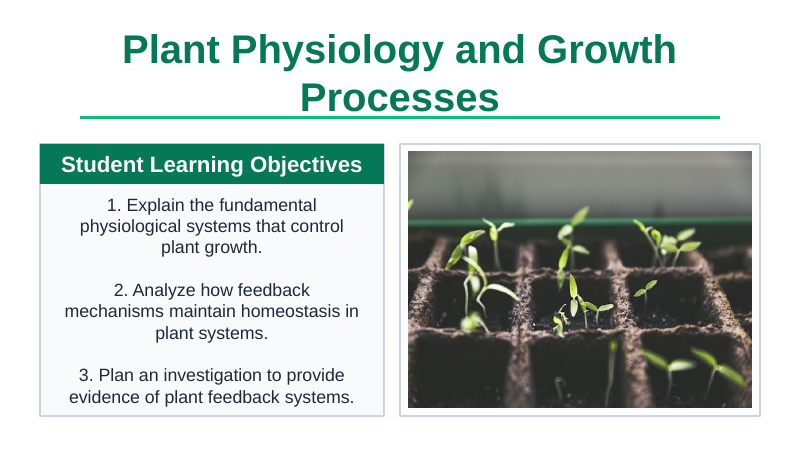 Plant Physiology & Growth Processes Slide Show Presentation sample page