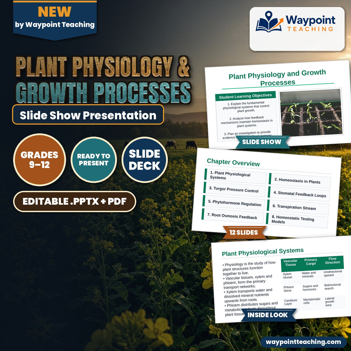 Plant Physiology & Growth Processes Slide Show Presentation cover