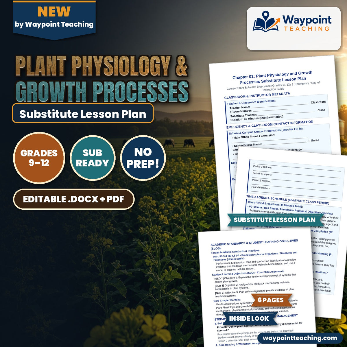 Plant Physiology & Growth Processes Substitute Lesson Plan cover