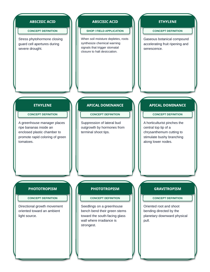 Plant Physiology & Growth Processes Tic-Tac-Toe Review Game sample page
