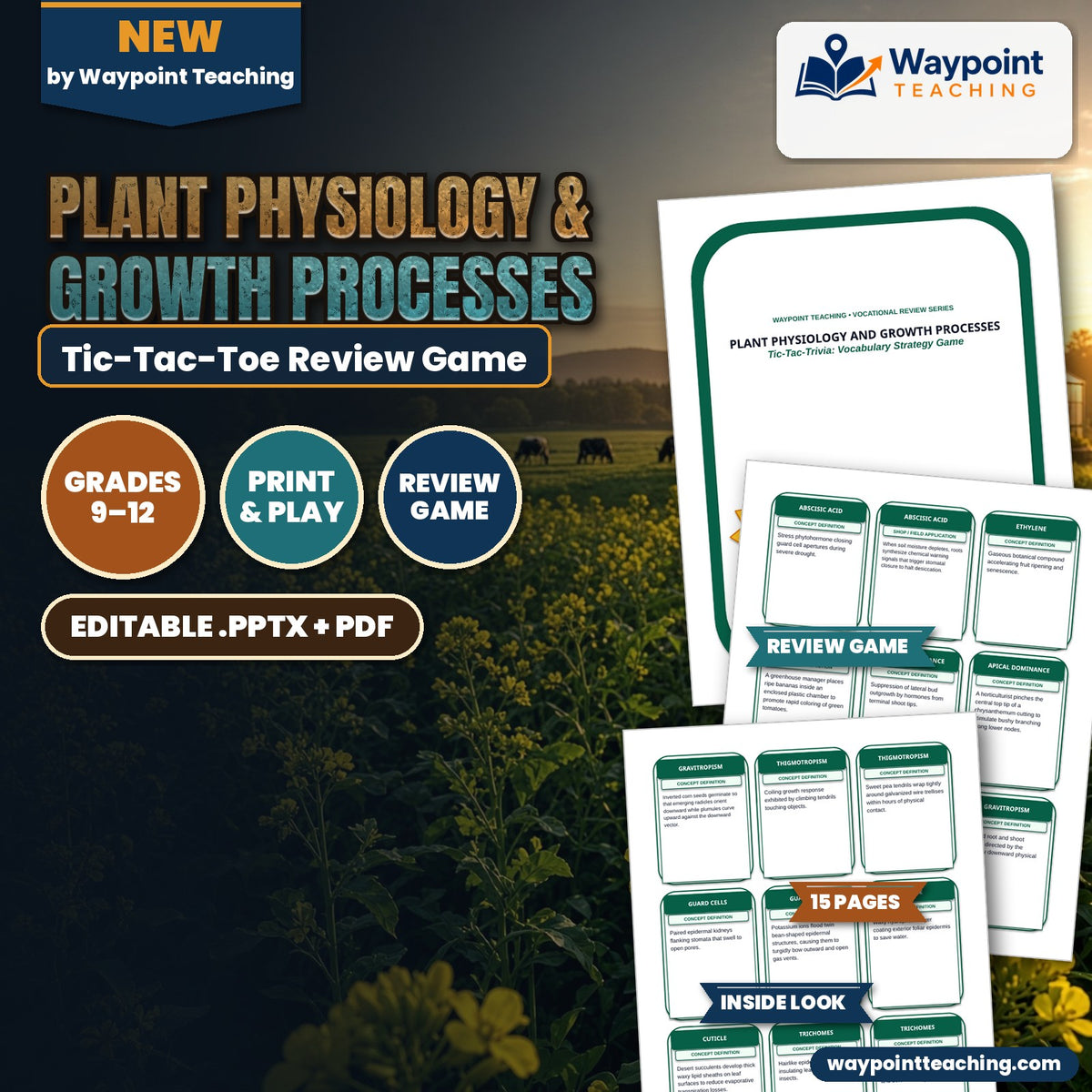Plant Physiology & Growth Processes Tic-Tac-Toe Review Game cover