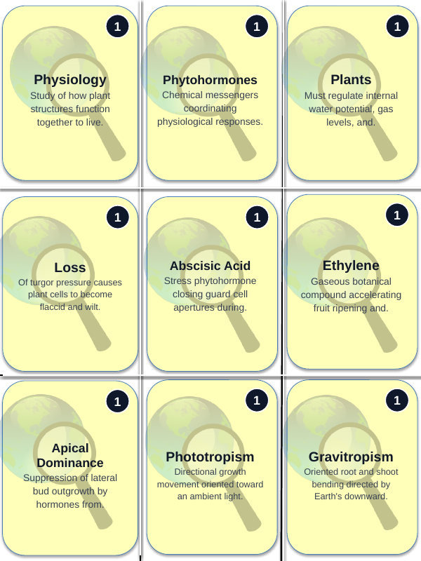 Plant Physiology & Growth Processes Trivia Board Game sample page
