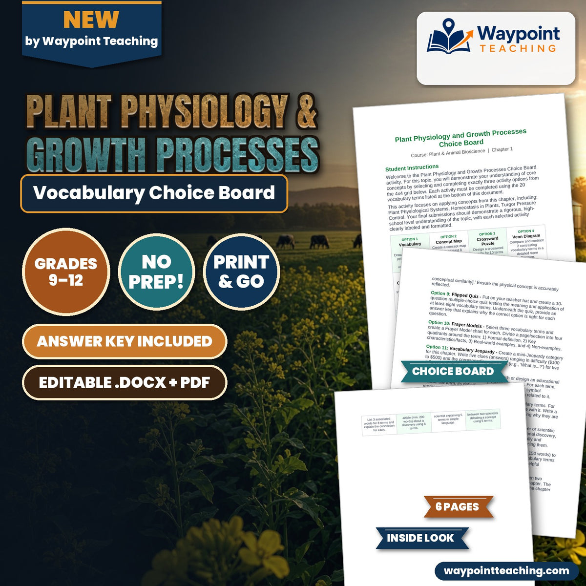 Plant Physiology & Growth Processes Vocabulary Choice Board cover