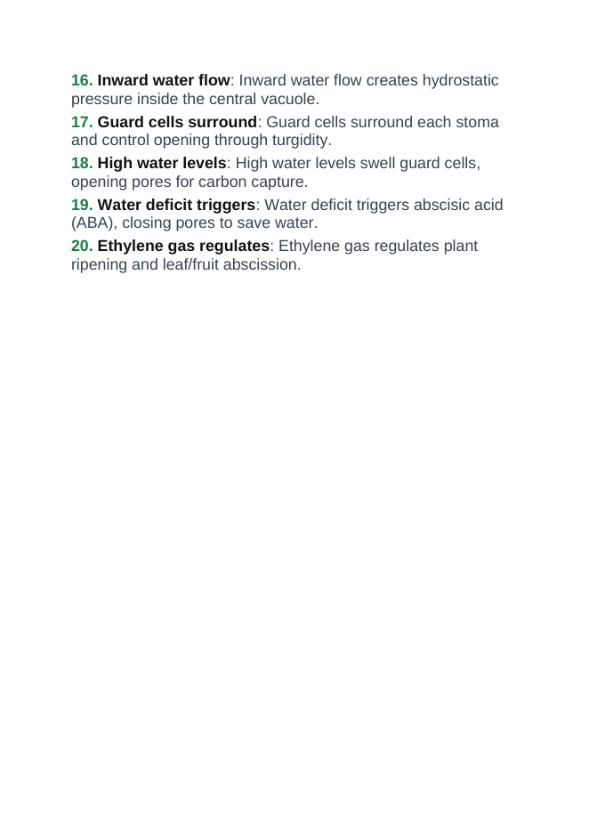 Plant Physiology & Growth Processes Vocabulary Words & Definitions sample page