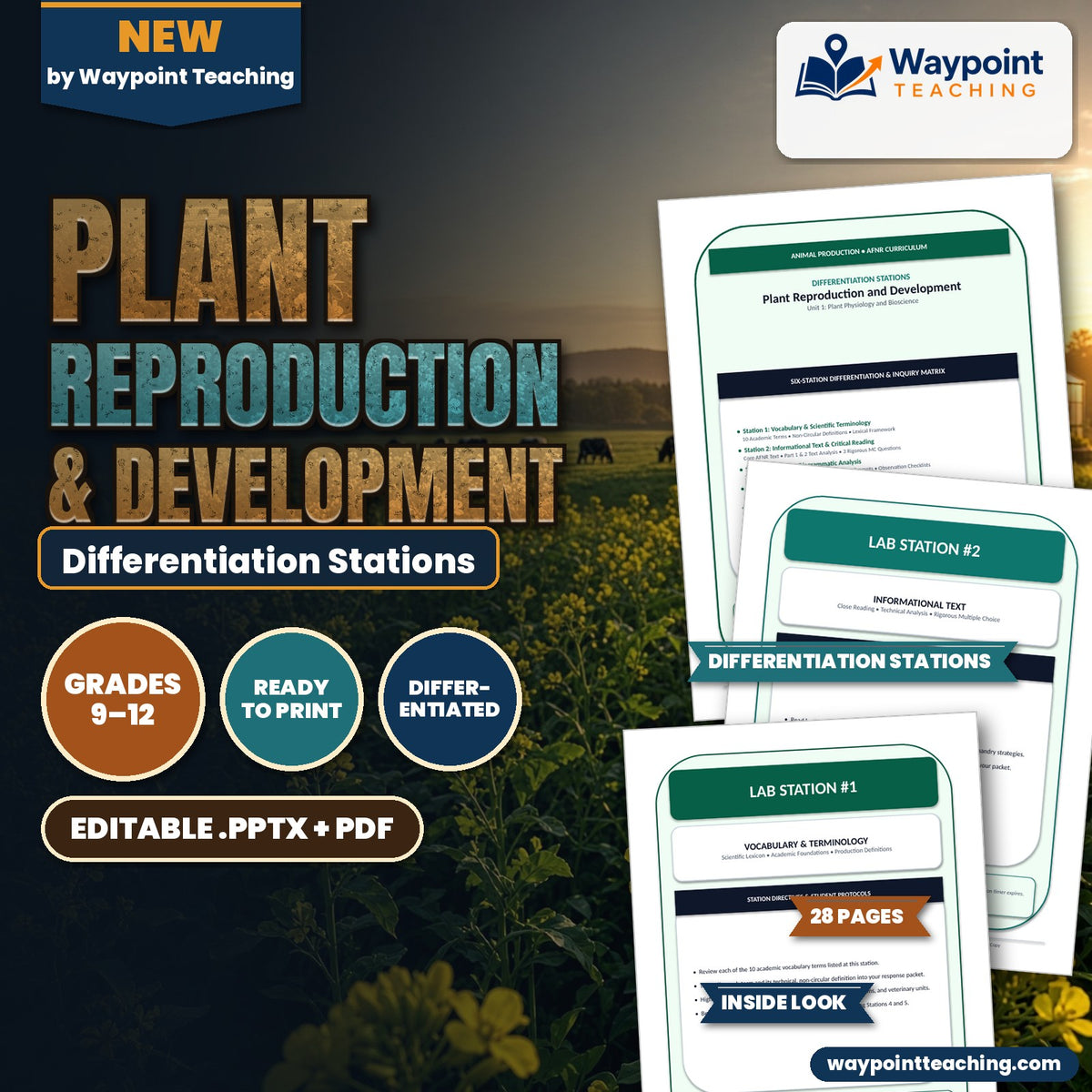 Plant Reproduction & Development Differentiation Stations cover