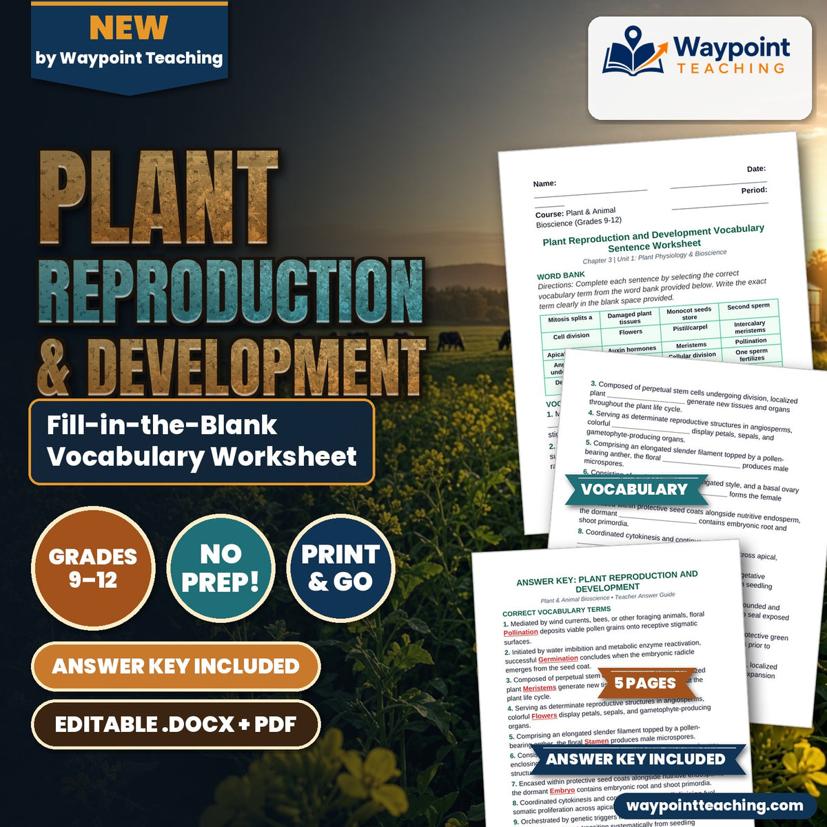 Plant Reproduction & Development Fill-in-the-Blank Vocabulary Worksheet cover