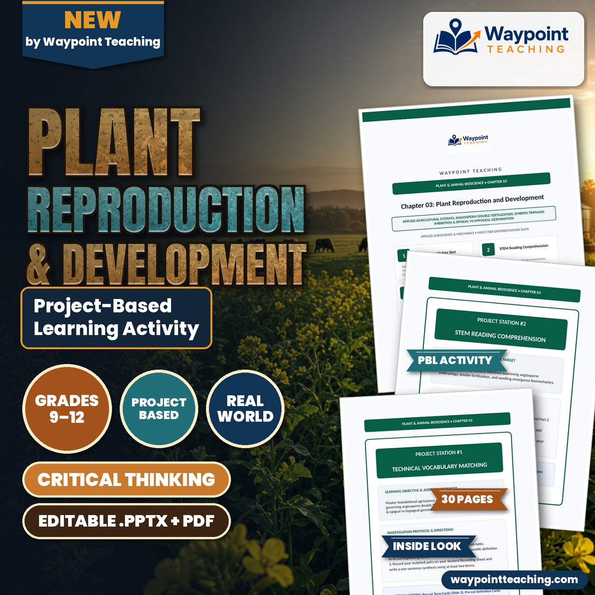 Plant Reproduction & Development Project-Based Learning Activity cover