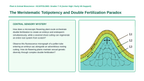 Plant Reproduction & Development Scaffolded Phenomena-Based Lesson: The Meristematic Totipotency and Double Fertilization Paradox Presentation sample page