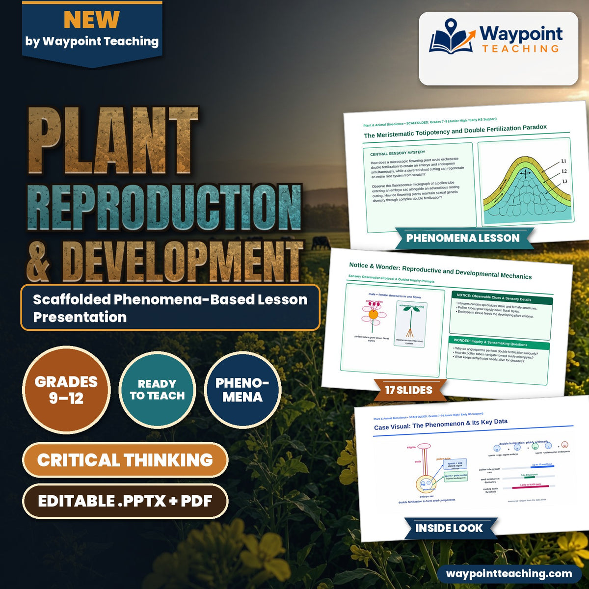 Plant Reproduction & Development Scaffolded Phenomena-Based Lesson: The Meristematic Totipotency and Double Fertilization Paradox Presentation cover