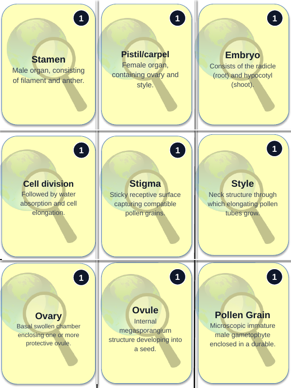 Plant Reproduction & Development Trivia Board Game sample page