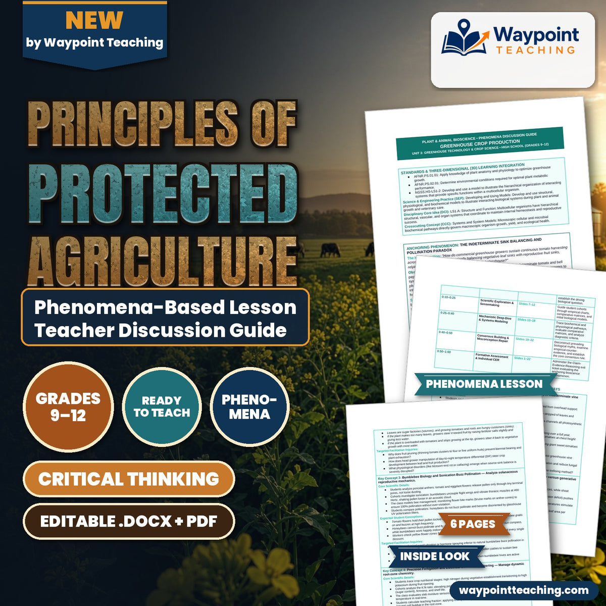 Principles of Protected Agriculture Phenomena-Based Lesson: The Indeterminate Sink Balancing and Pollination Paradox Teacher Discussion Guide cover