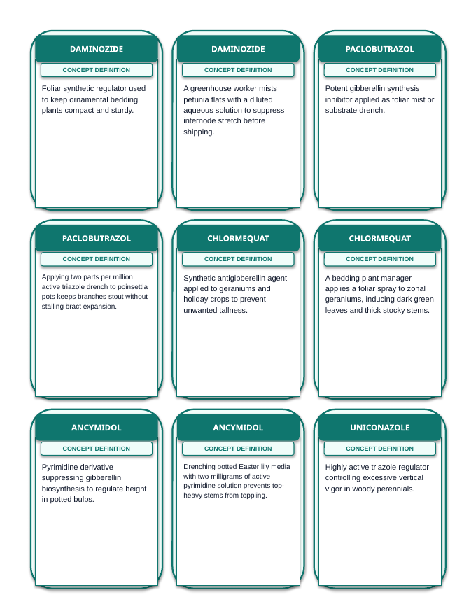 Principles of Protected Agriculture Tic-Tac-Toe Review Game sample page