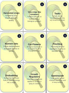 Principles of Protected Agriculture Trivia Board Game sample page