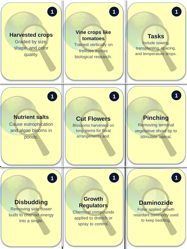 Principles of Protected Agriculture Trivia Board Game sample page