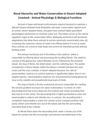 Renal Hierarchy and Water Conservation in Desert-Adapted Livestock Reading Worksheet sample page