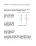 Renal Hierarchy and Water Conservation in Desert-Adapted Livestock Reading Worksheet sample page