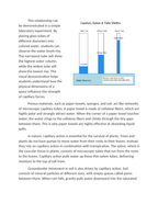 Capillary Action: Observing Water Climb Through Porous Materials Reading Worksheet sample page