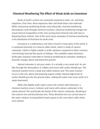 Chemical Weathering The Effect of Weak Acids on Limestone Reading Worksheet sample page
