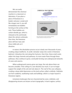 Chemical Weathering The Effect of Weak Acids on Limestone Reading Worksheet sample page
