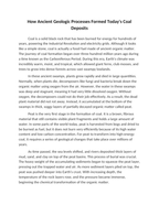 How Ancient Geologic Processes Formed Todays Coal Deposits Reading Worksheet sample page