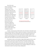 Identifying Index Fossils to Date Rock Layers Reading Worksheet sample page