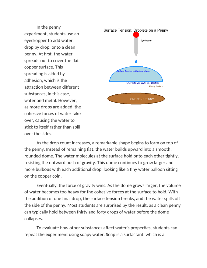 Surface Tension Lab: How Many Drops Can Fit on a Penny Reading Worksheet sample page