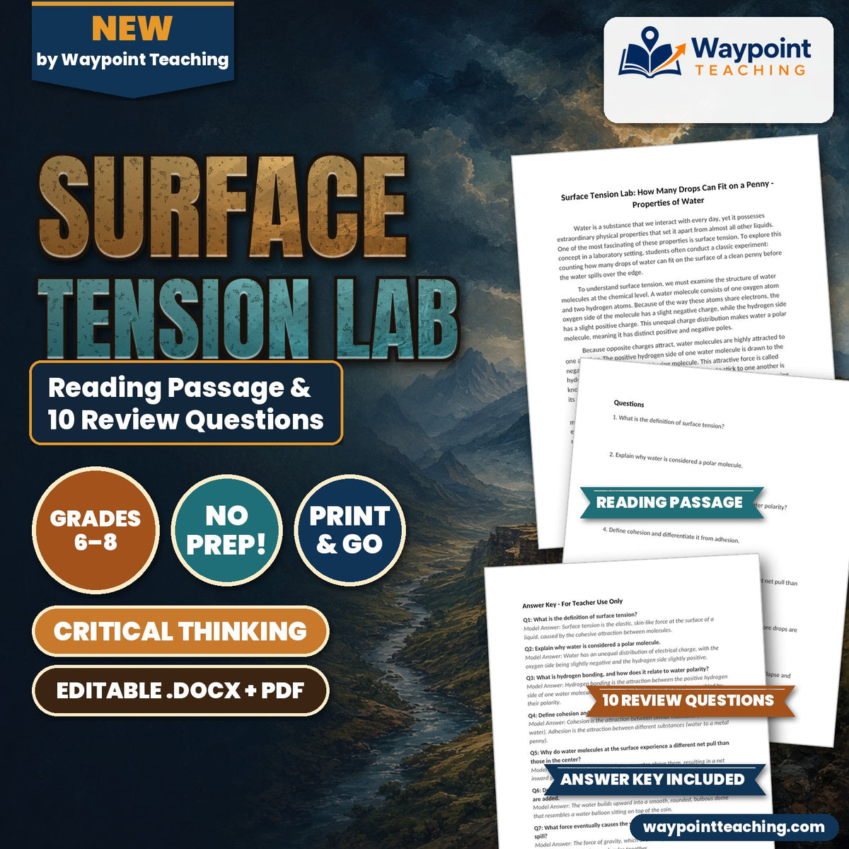 Surface Tension Lab: How Many Drops Can Fit on a Penny Reading Worksheet cover