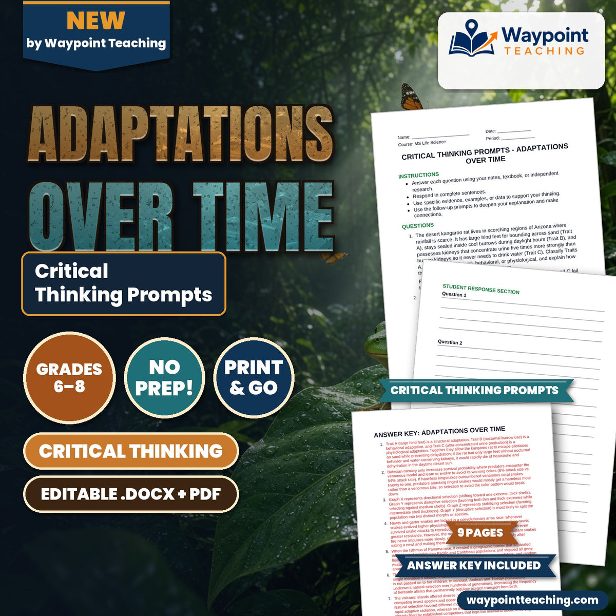 Adaptations Over Time Critical Thinking Prompts cover
