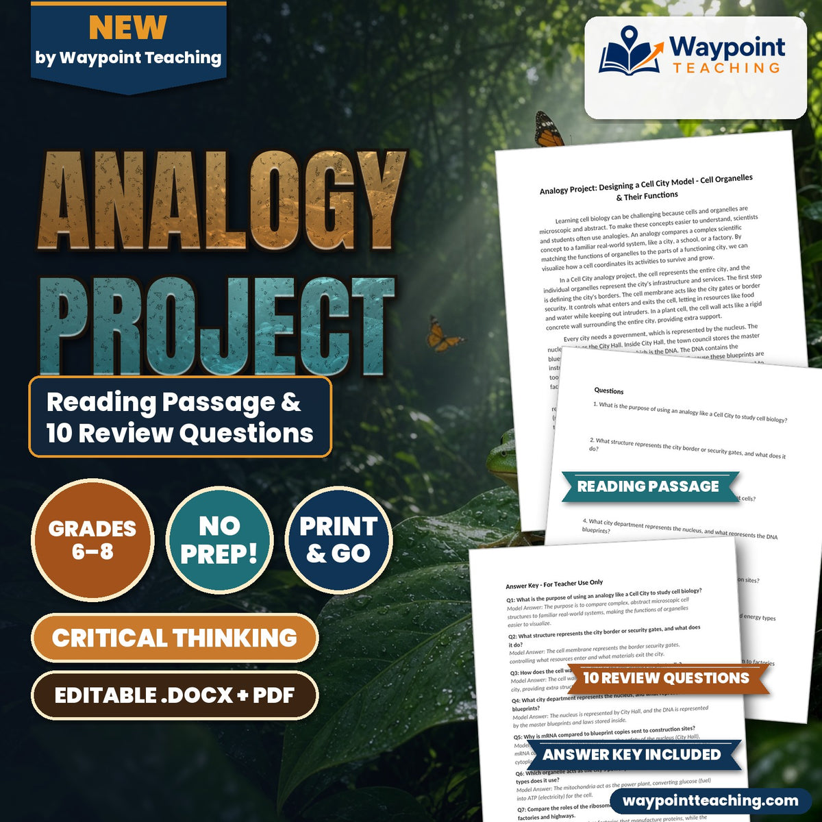 Analogy Project: Designing a Cell City Model Reading Worksheet cover