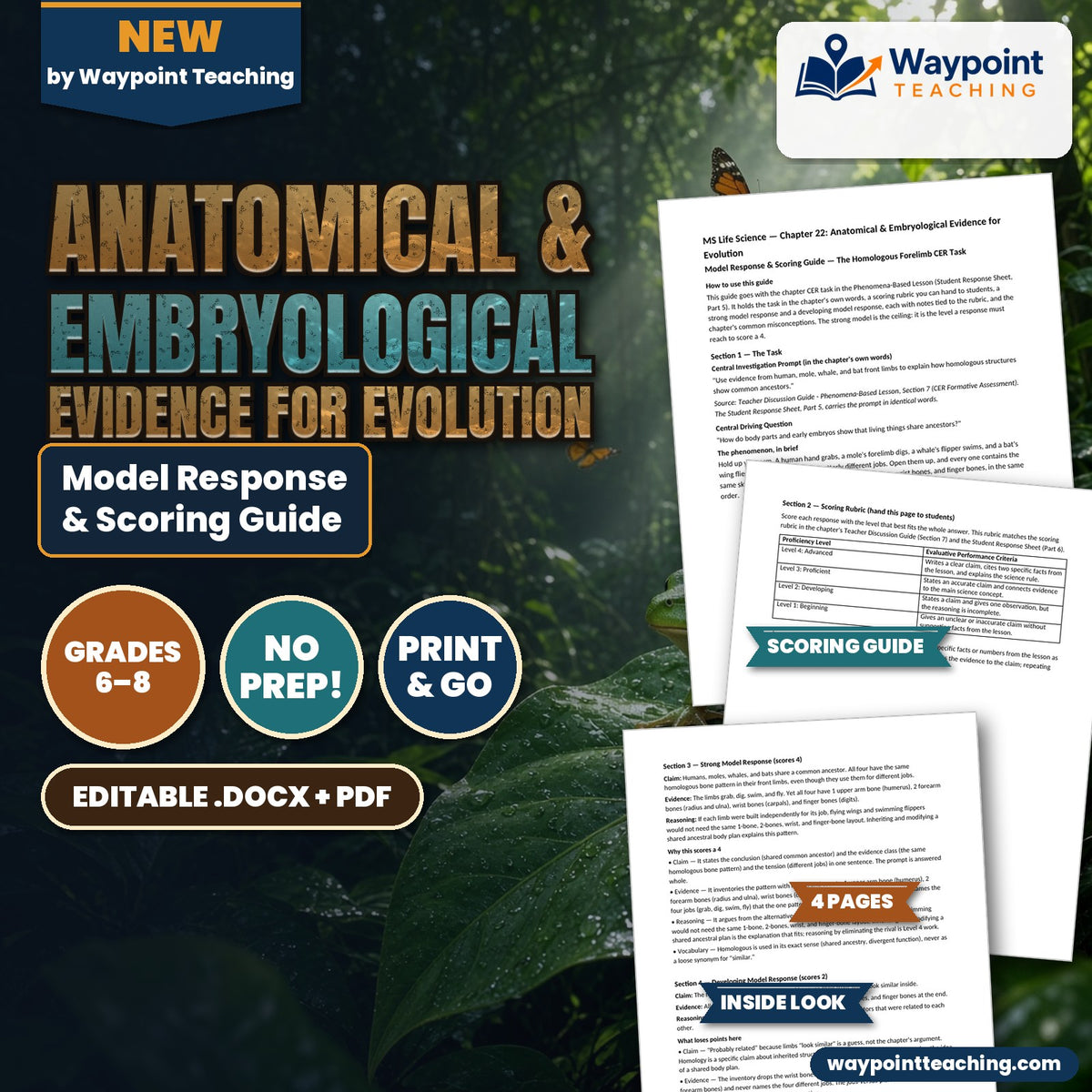 Anatomical & Embryological Evidence for Evolution Model Response & Scoring Guide cover
