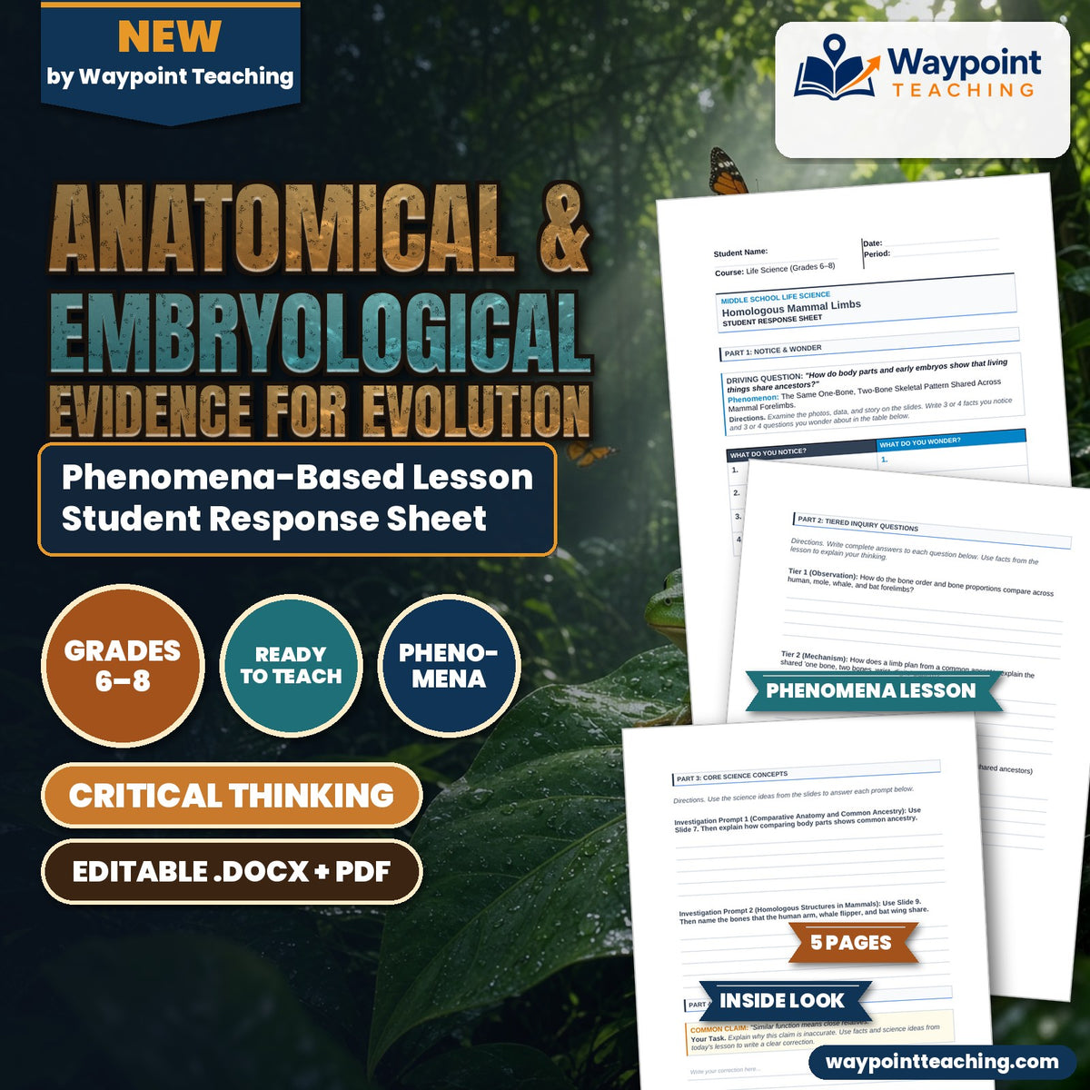 Anatomical & Embryological Evidence for Evolution Phenomena-Based Lesson: The Same Bone Pattern in Mammal Forelimbs Student Response Sheet cover