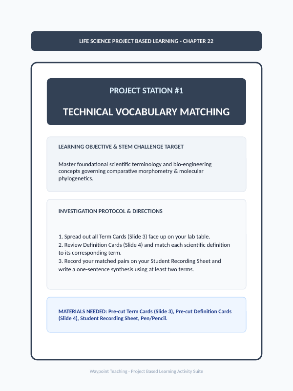 Anatomical & Embryological Evidence for Evolution Project-Based Learning Activity sample page