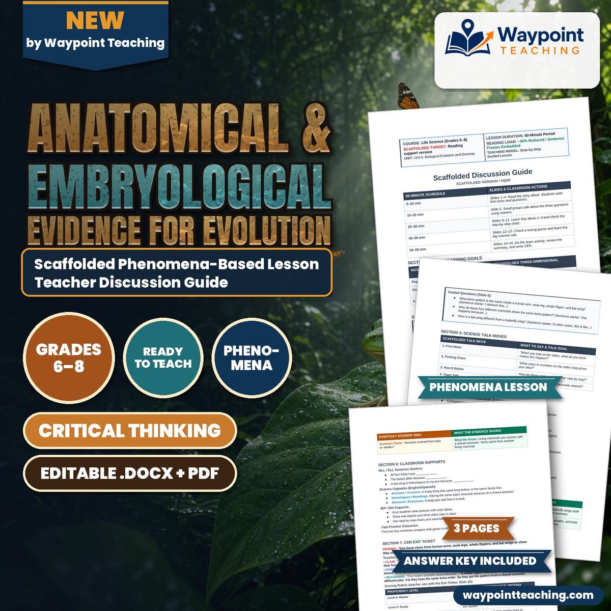Anatomical & Embryological Evidence for Evolution Scaffolded Phenomena-Based Lesson: The Same Bone Pattern in Mammal Forelimbs Teacher Discussion Guide cover
