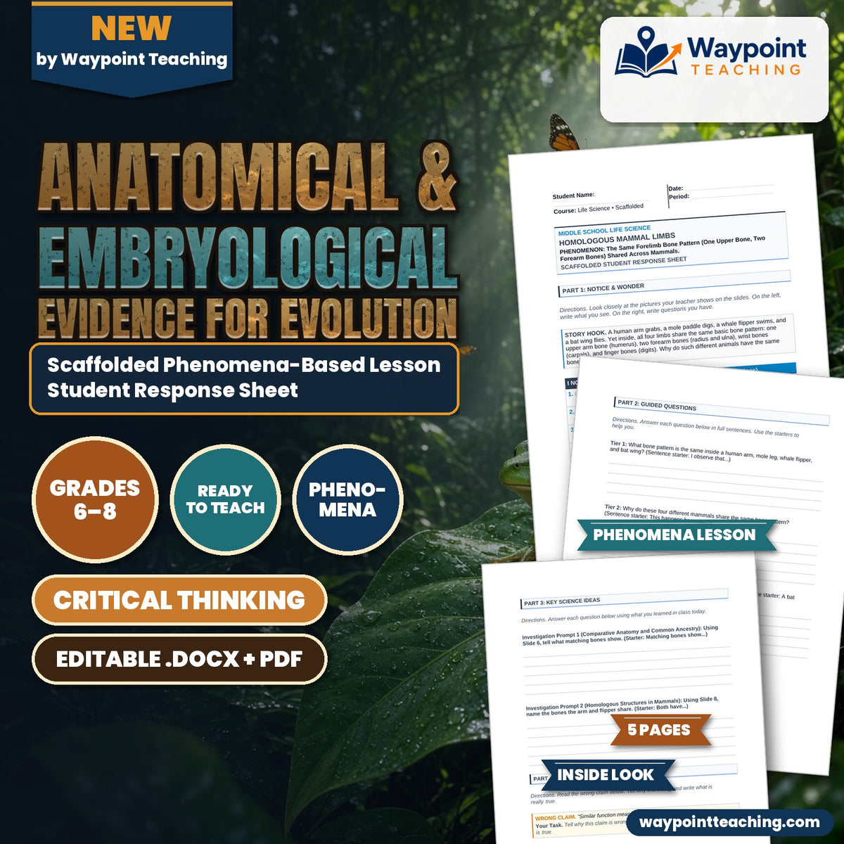 Anatomical & Embryological Evidence for Evolution Scaffolded Phenomena-Based Lesson: The Same Bone Pattern in Mammal Forelimbs Student Response Sheet cover