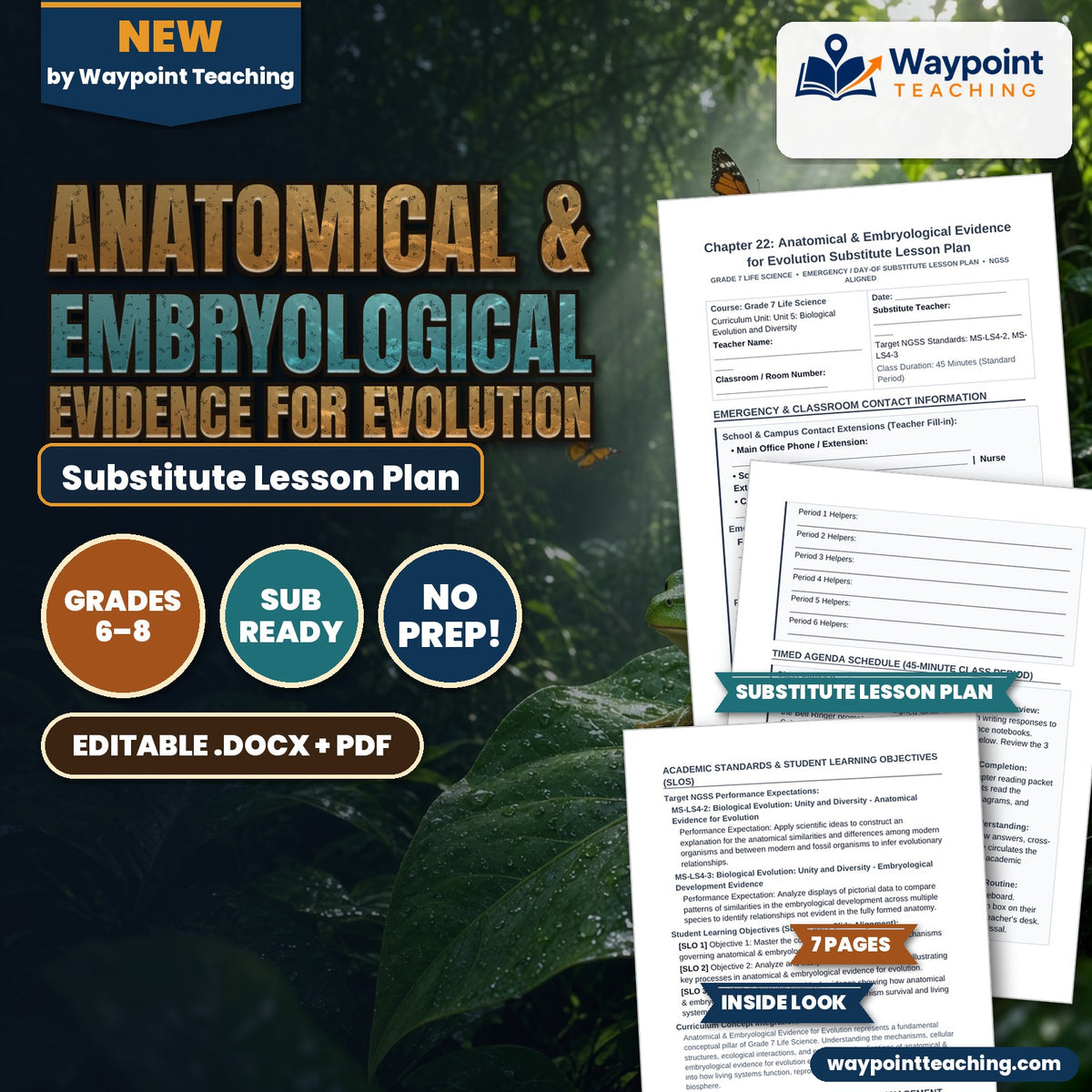 Anatomical & Embryological Evidence for Evolution Substitute Lesson Plan cover