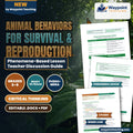 Animal Behaviors for Survival & Reproduction Phenomena-Based Lesson: Emperor Penguin Huddles Surviving Antarctic Blizzards Teacher Discussion Guide cover
