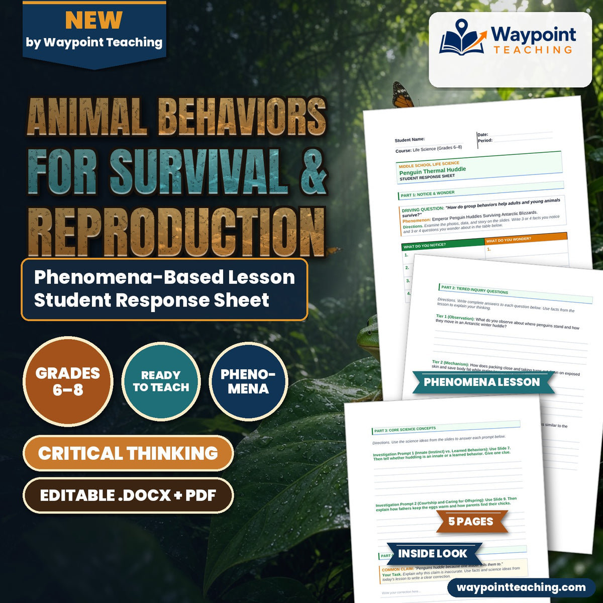 Animal Behaviors for Survival & Reproduction Phenomena-Based Lesson: Emperor Penguin Huddles Surviving Antarctic Blizzards Student Response Sheet cover