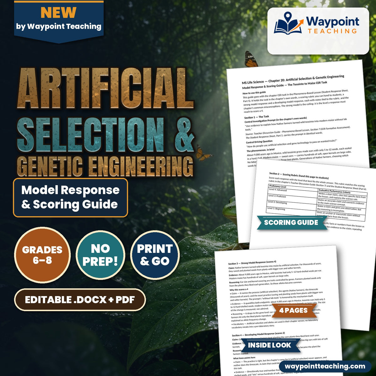 Artificial Selection & Genetic Engineering Model Response & Scoring Guide cover