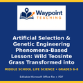 Artificial Selection & Genetic Engineering Phenomena-Based Lesson: Wild Teosinte Grass Transformed into Modern Sweet Corn Student Response Sheet cover