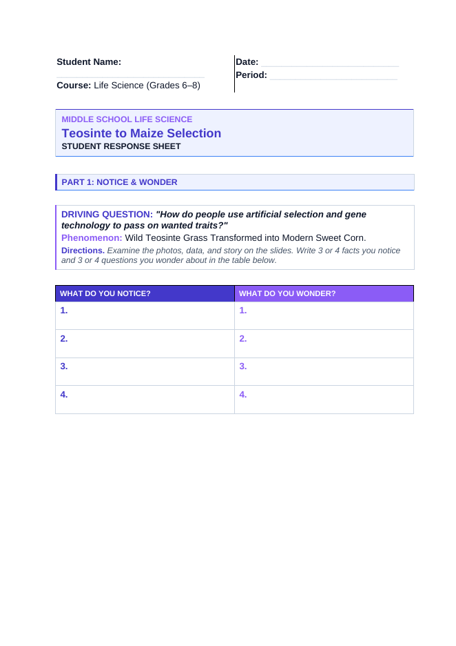 Artificial Selection & Genetic Engineering Phenomena-Based Lesson: Wild Teosinte Grass Transformed into Modern Sweet Corn Student Response Sheet sample page