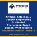 Artificial Selection & Genetic Engineering Scaffolded Phenomena-Based Lesson: Wild Teosinte Grass Transformed into Modern Sweet Corn Presentation cover