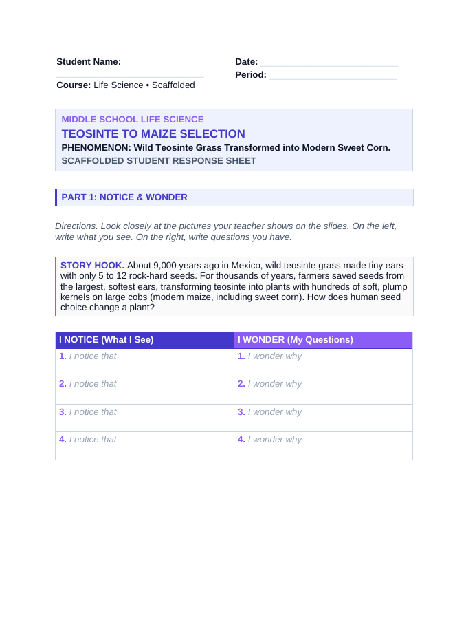Artificial Selection & Genetic Engineering Scaffolded Phenomena-Based Lesson: Wild Teosinte Grass Transformed into Modern Sweet Corn Student Response Sheet sample page