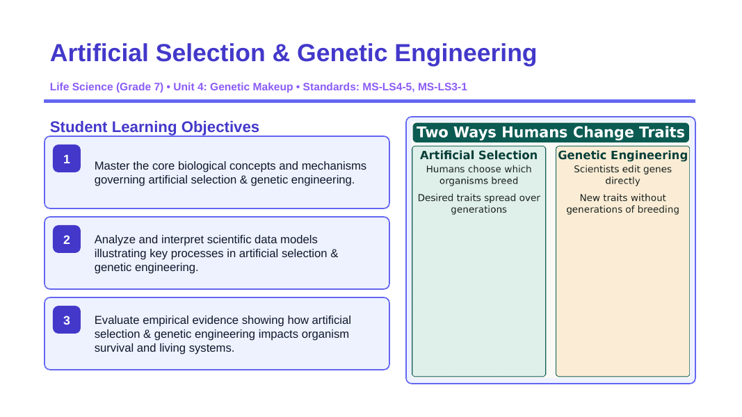 Artificial Selection & Genetic Engineering Slide Show Presentation sample page