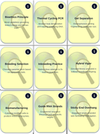 Artificial Selection & Genetic Engineering Trivia Board Game sample page