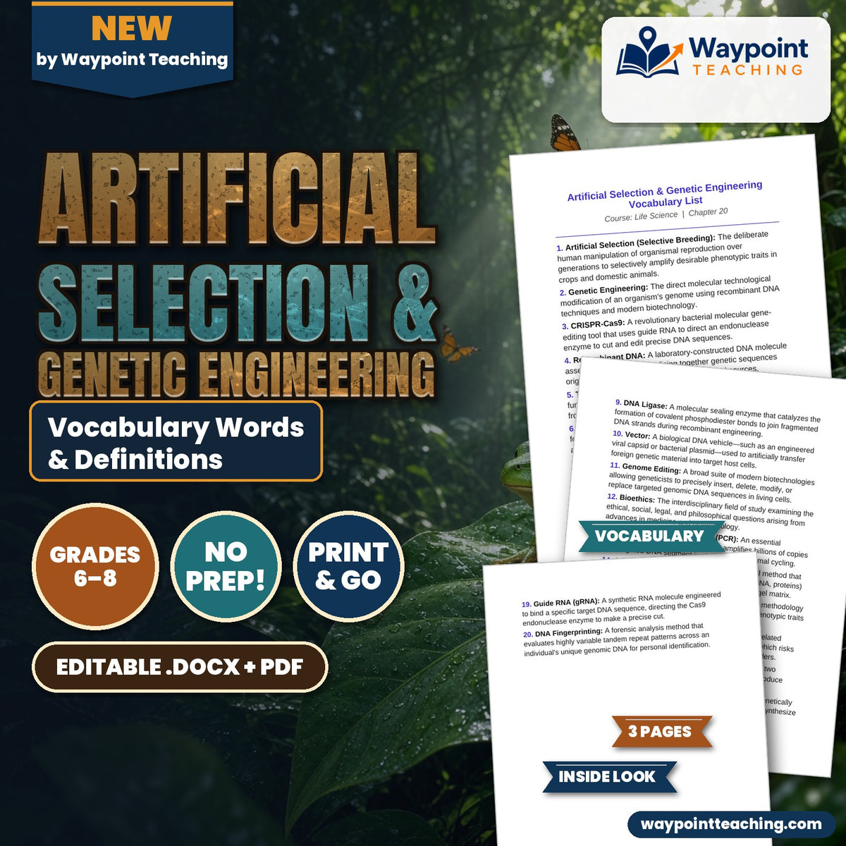 Artificial Selection & Genetic Engineering Vocabulary Words & Definitions cover
