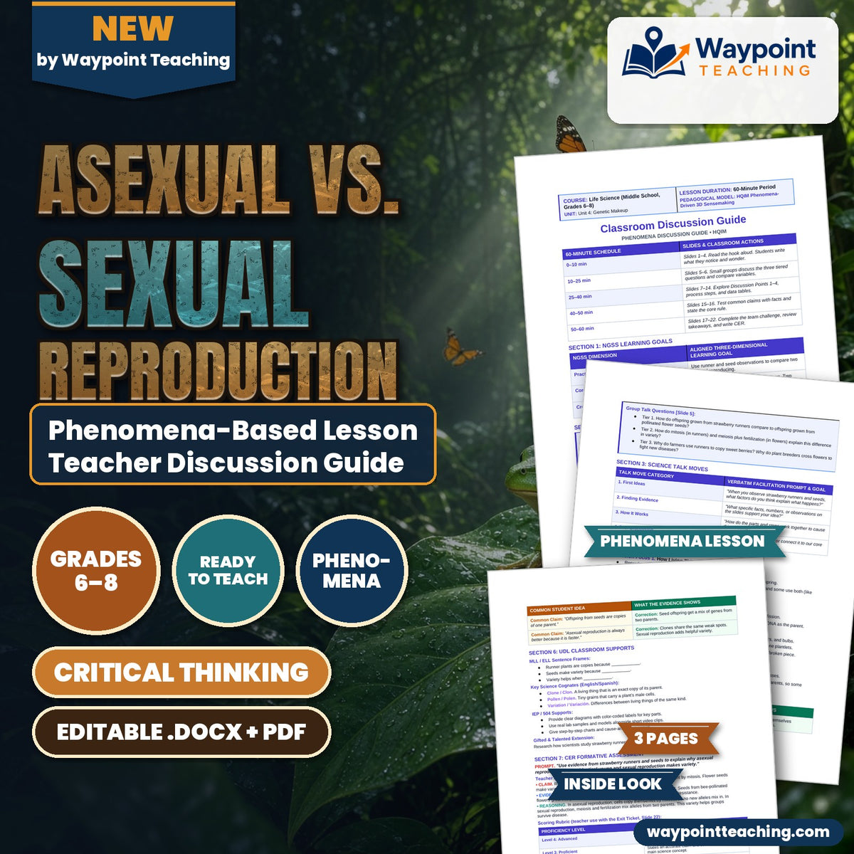 Asexual vs. Sexual Reproduction Phenomena-Based Lesson: Strawberry Runners Cloning Identical Offspring vs. Flower Seeds Teacher Discussion Guide cover