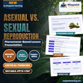 Asexual vs. Sexual Reproduction Phenomena-Based Lesson: Strawberry Runners Cloning Identical Offspring vs. Flower Seeds Presentation cover