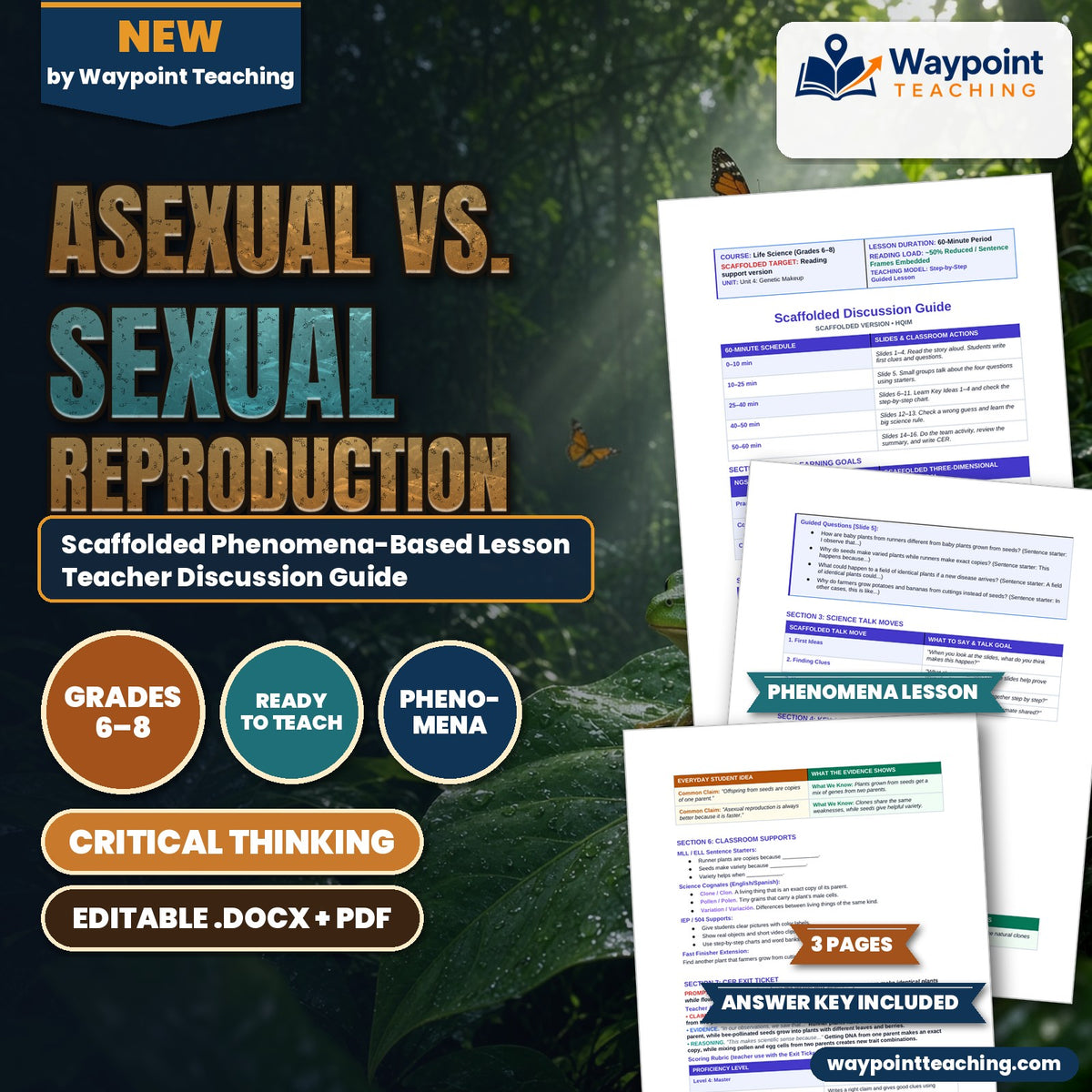 Asexual vs. Sexual Reproduction Scaffolded Phenomena-Based Lesson: Strawberry Runners Cloning Identical Offspring vs. Flower Seeds Teacher Discussion Guide cover