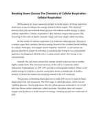 Breaking Down Glucose The Chemistry of Cellular Respiration Reading Worksheet sample page
